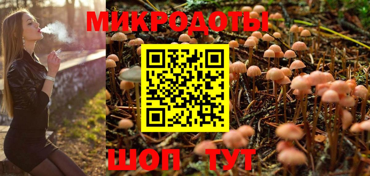 Галлюциногенные грибы мухоморы Минеральные Воды